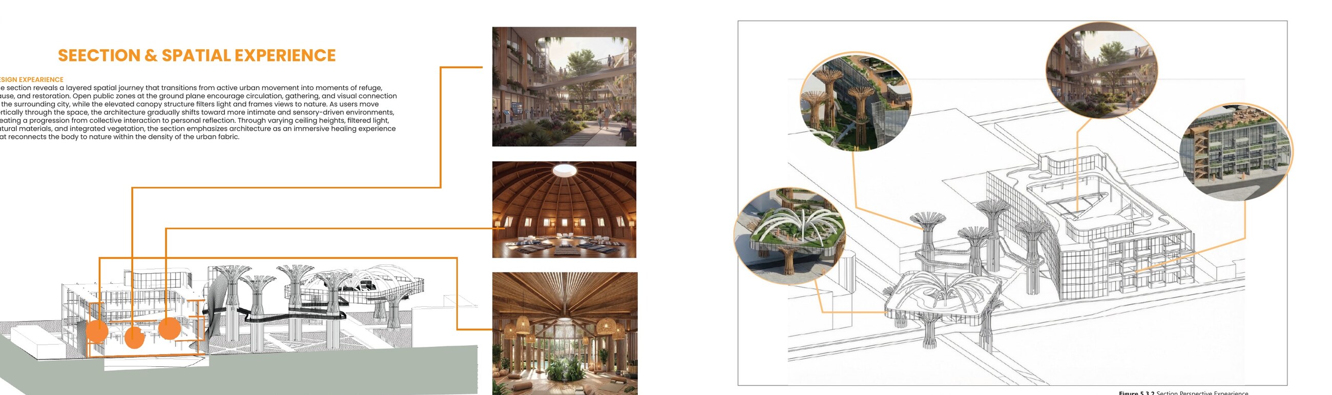 Experiential architectural section with interior perspectives and sensory callouts